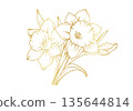 Narcissus lily flowers line art isolated on white background. Luxury daffodil floral golden design elements for invitation, wedding, wallpaper, print template, vector illustration 135644814