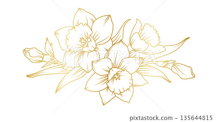 Narcissus lily flowers line art isolated on white background. Luxury daffodil floral golden design elements for invitation, wedding, wallpaper, print template, vector illustration 135644815