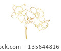 Narcissus lily flowers line art isolated on white background. Luxury daffodil floral golden design elements for invitation, wedding, wallpaper, print template, vector illustration 135644816