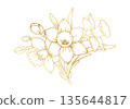 Narcissus lily flowers line art isolated on white background. Luxury daffodil floral golden design elements for invitation, wedding, wallpaper, print template, vector illustration 135644817