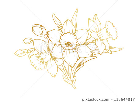 Narcissus lily flowers line art isolated on white background. Luxury daffodil floral golden design elements for invitation, wedding, wallpaper, print template, vector illustration 135644817