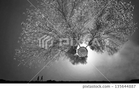 The landscape of an unknown and fantastic world called the "The Little Planet" 135644887