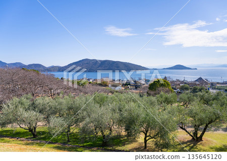 Shodoshima Olive Park, Shodoshima, Kagawa Prefecture 135645120