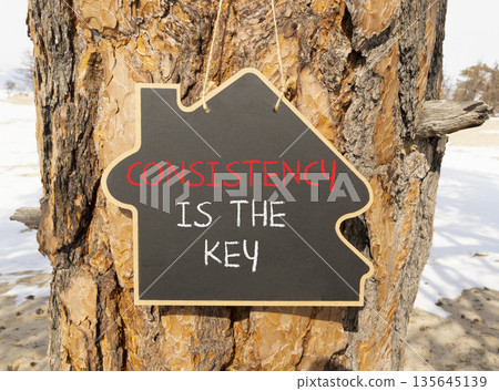 Consistency is the key symbol. Concept words Consistency is the key on beautiful blackboard. Beautiful old tree background. Business consistency is the key concept. Copy space. Consistency is the key symbol. Concept words Consistency is the key on beautiful blackboard. Beautiful old tree background. Business consistency is the key concept. Copy space. 135645139