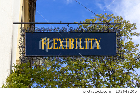 Flexibility symbol. Concept word Flexibility on beautiful black road sign. Beautiful blue sky and street in Brugge background. Business flexibility concept. Copy space. 135645209