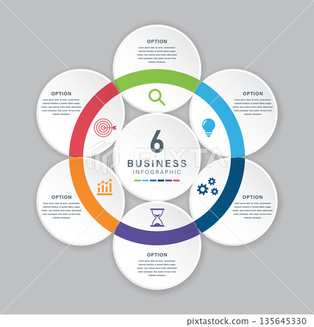 6 Option Circular Business Infographic with Icons 135645330