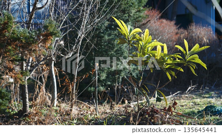 日常景觀 日常景觀 135645441