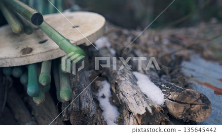 日常景觀 135645442