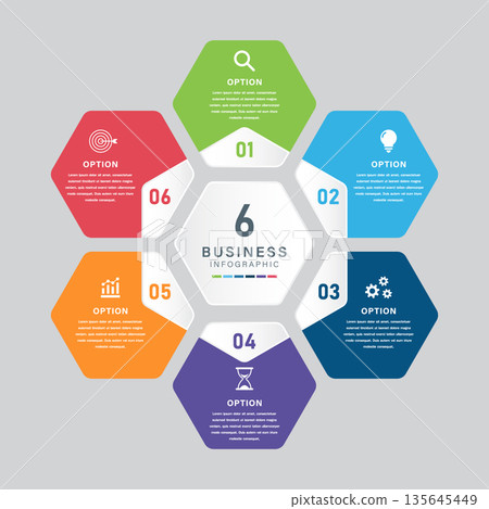Hexagonal Business Infographic with 6 Strategic Options and Central Hub 135645449