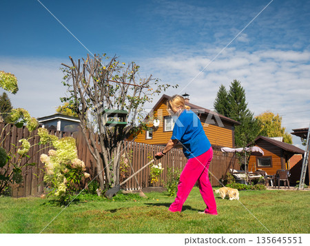 Caucasian woman gardener raking grass in yard. Summer garden cleaning and maintenance on sunny day. Outdoor hobby and domestic work. Caucasian woman gardener raking grass in yard. Summer garden cleaning and maintenance on sunny day. Outdoor hobby and domestic work. 135645551
