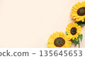Vibrant yellow sunflowers on a soft beige background 135645653