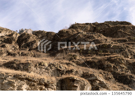 Winter Mountain View: Rocky Peaks, Pine Forest, Clear Sky Winter Mountain View: Rocky Peaks, Pine Forest, Clear Sky 135645790