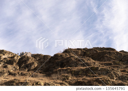 Winter Mountain View: Rocky Peaks, Pine Forest, Clear Sky Winter Mountain View: Rocky Peaks, Pine Forest, Clear Sky 135645791