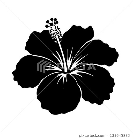 Hibiscus flower black silhouette on white background 135645883