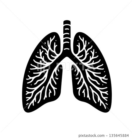 Lungs detailed black silhouette vector illustration Lungs detailed black silhouette vector illustration 135645884