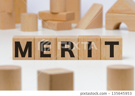 積木上的字母 MERIT 9 135645953