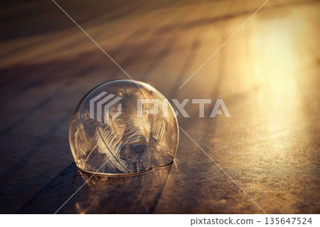 Frozen bubble in nature. A beautiful macro shot of nature in winter. Concept for environment, water and frost. Frozen bubble in nature. A beautiful macro shot of nature in winter. Concept for environment, water and frost. 135647524