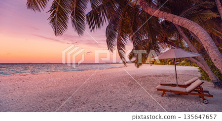 Sunset panoramic couple honeymoon tropical beach sun beds umbrella palm leaves vacation landscape Sunset panoramic couple honeymoon tropical beach sun beds umbrella palm leaves vacation landscape 135647657