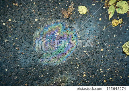 Oil slick on wet asphalt showing iridescent rainbow colors 135648274