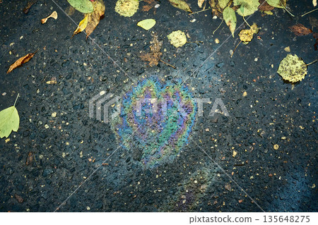 Oil slick creating a vibrant rainbow on wet dark asphalt with fallen autumn leaves Oil slick creating a vibrant rainbow on wet dark asphalt with fallen autumn leaves 135648275