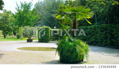 Lush green garden with decorative plants and paved walkway. 135648499