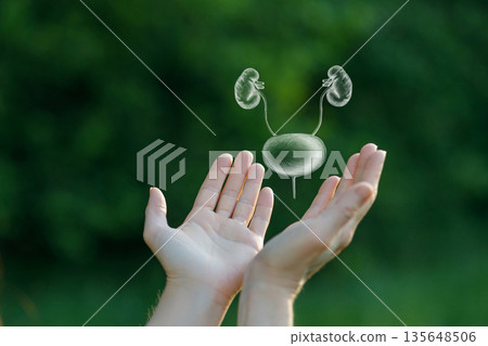 Understanding kidney health for a better life journey. Understanding kidney health for a better life journey. 135648506