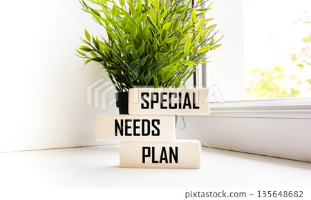 Wooden blocks with an action plan for special needs plan , an image of a business concept Wooden blocks with an action plan for special needs plan , an image of a business concept 135648682