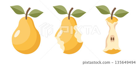 Juicy pear eating steps icon set. Stages of an eaten pear, whole, bitten and core. Illustration. Juicy pear eating steps icon set. Stages of an eaten pear, whole, bitten and core. Illustration. 135649494