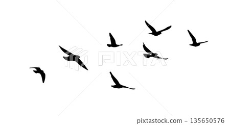 Flying birds silhouette flock. hand drawing. Not AI. Vector illustration Flying birds silhouette flock. hand drawing. Not AI. Vector illustration 135650576