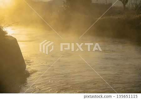 清晨的陽光照耀著一條由泉水匯聚而成的河流，河面上籠罩著一層薄霧。 [安曇野] 135651115
