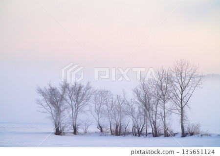 Windstorm and windbreak 135651124