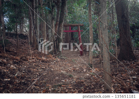 Entrance to another world Entrance to another world 135651181