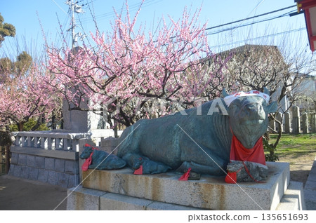 Shogansen Tenmangu Shrine 135651693