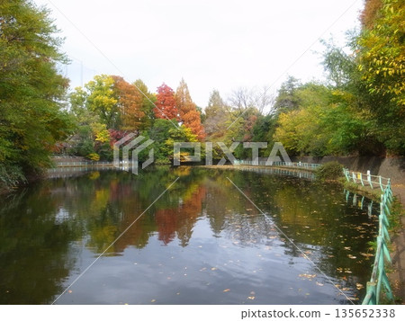 秋天的武藏石公園 135652338