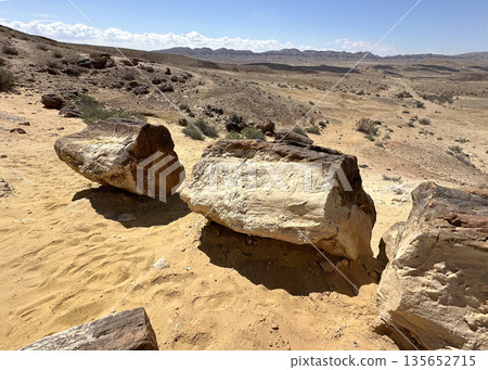 Tree trunk fossils in Makhtesh Gadol Tree trunk fossils in Makhtesh Gadol 135652715