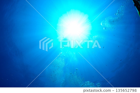 View of the sky from underwater, Palauan ocean, diving scenery View of the sky from underwater, Palauan ocean, diving scenery 135652798