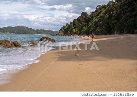 Hiker walking on golden sand beach leaving footprints, Abel Tasman, NZ Hiker walking on golden sand beach leaving footprints, Abel Tasman, NZ 135652889