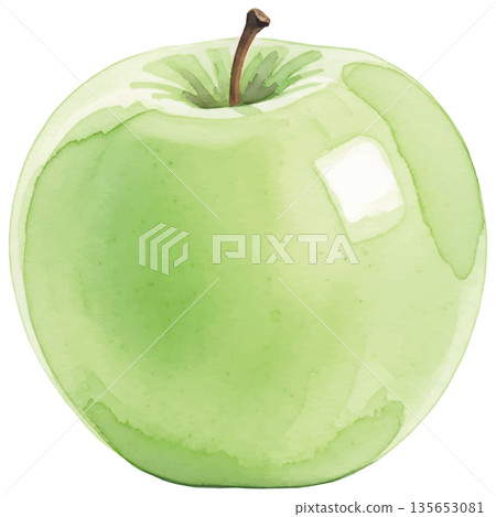 Watercolor illustration of a green apple 135653081