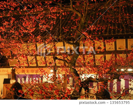 北野天滿宮梅園燈光秀 135653795