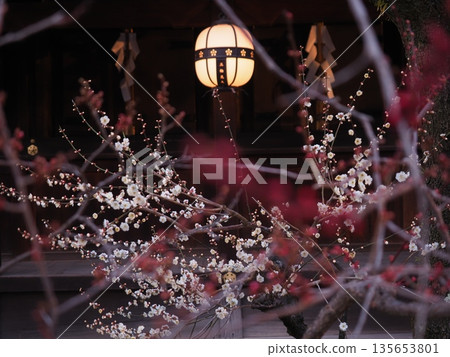 北野天滿宮梅園燈光秀 135653801