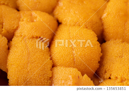 Close up of fresh raw sea urchin 135653851