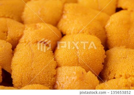 Close up of fresh raw sea urchin Close up of fresh raw sea urchin 135653852