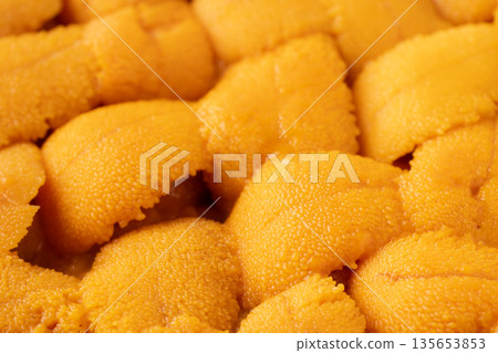 Close up of fresh raw sea urchin Close up of fresh raw sea urchin 135653853