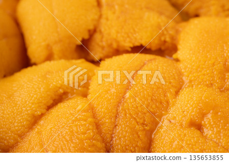 Close up of fresh raw sea urchin 135653855
