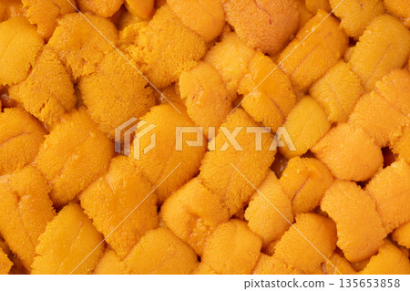 Close up of fresh raw sea urchin Close up of fresh raw sea urchin 135653858