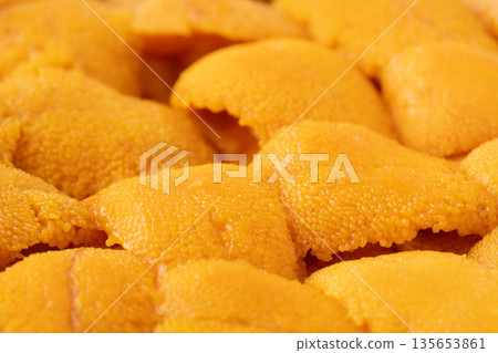 Close up of fresh raw sea urchin 135653861