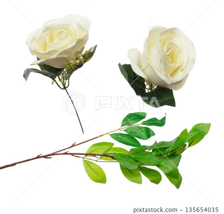 Green Artificial Leaf many lemon tropical leaves with branch. Dark green artificial fake leaves of tropical lemon, tropical foliage plant leaf growing in wild. White background isolated Green Artificial Leaf many lemon tropical leaves with branch. Dark green artificial fake leaves of tropical lemon, tropical foliage plant leaf growing in wild. White background isolated 135654035