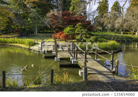 福島縣會泉裡町伊佐澄神社鳶尾花園 135654060