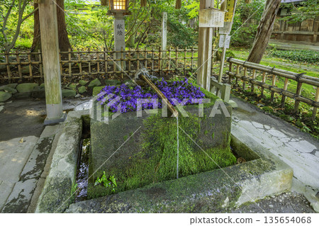 Izasumi Shrine, Flower Water Basin, Aizumisato Town, Fukushima Prefecture 135654068
