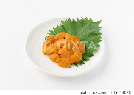 Delicious raw sea urchin served on a plate on a white background Delicious raw sea urchin served on a plate on a white background 135654078